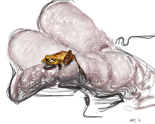 "Frog in Hand"
