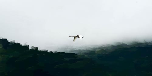 "Bird in Flight"