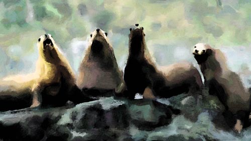 "Seals"