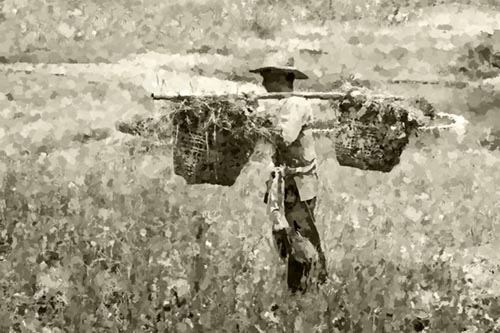 "Thai Worker"