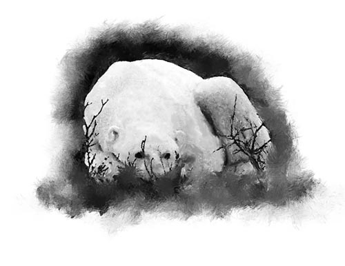 "Polar Bear"