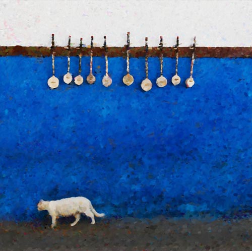 "Cat in Morocco"
